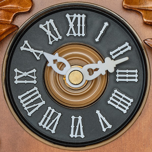 TIMEGEAR Wall Clock Dial